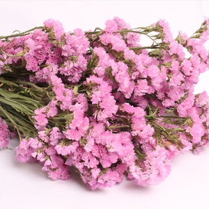 Preserved Statice Pink, Lavender and White Colors Dried Flower Bouquet 12 Large Stems, Wedding, Boutonniere Craft, Home Decor, Floral