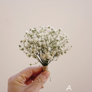 5-24 pièces épingles à cheveux gypsophile, épingles à cheveux de mariée gypsophile, épingles à cheveux de mariée gypsophile, accessoires pour cheveux de mariée, épingles à cheveux fleurs séchées Boutonniere A