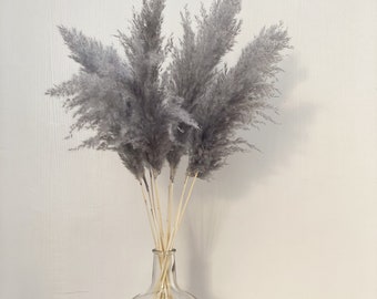 10 STEMS PAMPAS GRASS - Gray Dried Pampas Grass Decor, Reed Plume, Dry Boho Wedding Flower Arrangement, Tall Bohemian Plant Home Decor