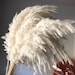 10 STEMS PAMPAS GRASS - Natural Dried Pampas Grass Decor, Reed Plume, Dry Boho Wedding Flower Arrangement, Tall Bohemian Plant Home Decor 