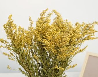Flores amarillas, vara de oro seca, flor seca amarilla, ramo seco, relleno de flores secas, Solidago Canadensis, flor de prado