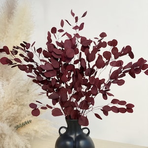 Preserved Washed Silver Dollar Eucalyptus-- wedding decor, variety of colors, preserved Burgundy