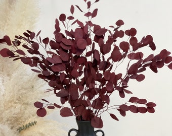 Preserved Washed Silver Dollar Eucalyptus-- wedding decor, variety of colors, preserved Burgundy