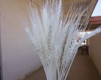 Aproximadamente 50 flores secas de trigo natural de alta calidad, ramos, arreglos florales, flores hechas a mano.