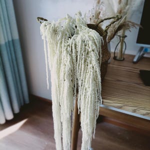 White Hanging Amaranthus Dried | Bleached White Amaranthus | Preserved Flowers | Wedding Decor | Wedding Bouquet | Hanging Dried Flowers