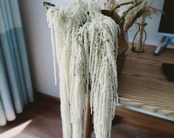 White Hanging Amaranthus Dried | Bleached White Amaranthus | Preserved Flowers | Wedding Decor | Wedding Bouquet | Hanging Dried Flowers