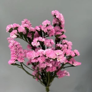 Peut inclure: Un bouquet de fleurs de statice roses sur fond gris. Les fleurs présentent de petites fleurs groupées dans différentes nuances de rose, avec des tiges vertes. L'arrangement est dense et plein, créant un affichage visuellement attrayant.