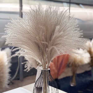 Natural 100 Stems Pampas 23&quot; | Neutral Pampas | Upholstery Dried Flowers | Wedding Floral Decorations