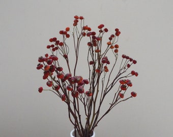 May include: A bouquet of dried rose hips in a white vase. The rose hips are a vibrant red color and clustered at the ends of thin, brown stems. The background is a neutral, off-white color.