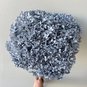 Puede incluir: Un gran ramo redondo de flores de hortensia azules secas. Las flores son de un color azul suave y apagado y están densamente empaquetadas, creando una apariencia llena y texturizada. El ramo es sostenido por una mano, con los tallos envueltos en un material azul oscuro.