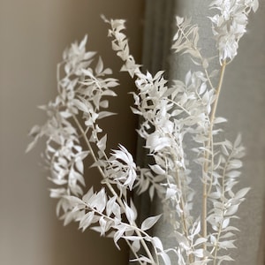 Baby&#39;s Breath,Bunny Tail,Canary Grass,white Italian ruscus