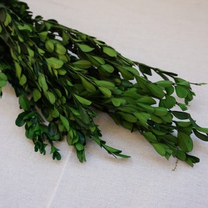 Bewaard Buxus Hoge Bladeren Eucalyptus Bruiloftsslingers Woondecoratie Boeketten, Groen