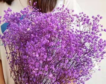 Natural preserved baby's breath bunch, straw colored baby's breath, unbleached baby's breath, natural gypsophilia, preserved gypsophilia