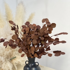 Preserved Washed Silver Dollar Eucalyptus-- wedding decor, variety of colors, preserved -Rust