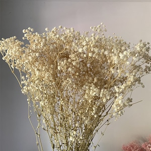 Natural baby's breath flower gypsophila, bouquet, home decoration, white bouquet