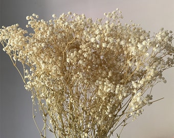 Natural baby's breath flower gypsophila, bouquet, home decoration, white bouquet