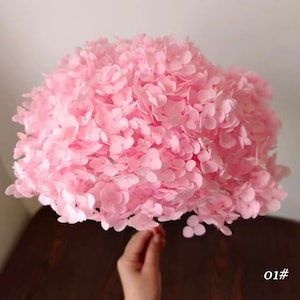Dried Hydrangea - Hydrangea Flower - Home Gift - Hydrangea Bouquet - Preserved Flowers - Dried Flowers - Dried Bouquet