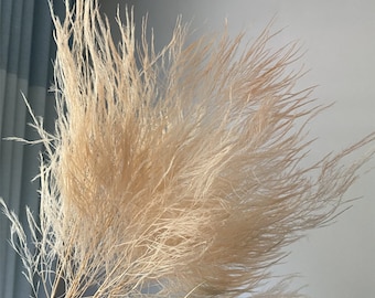 Bewaarde takken / Pampas bundel / Home Decor / Rustieke Wedding Decor / DIY Boho Bruidsboeket / Pampas Gras Stijl