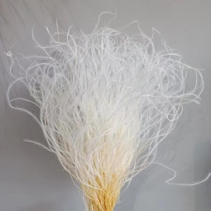 Feather grasses for Home decor, Vase decor, DIY Floral arrangements, dried flowers, Flower arrangements for wedding decor