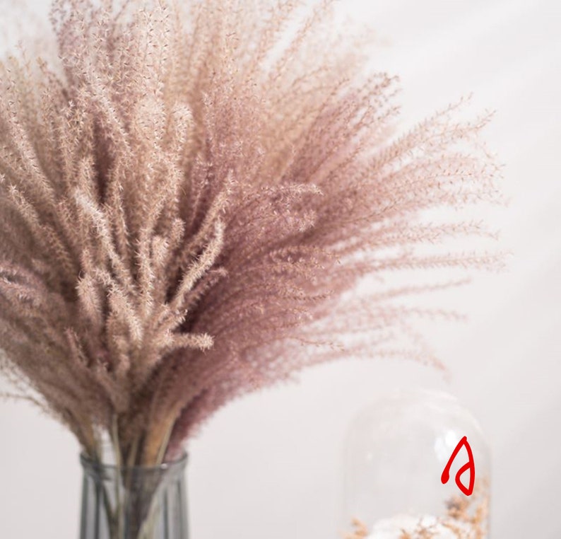 pampas grass wedding 15 stems-21 inches flower arrangement