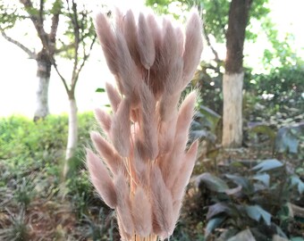 About 60 stems of high-quality natural dried flowers, bouquets, flower arrangements, rabbit tail grass,Bunny Tails