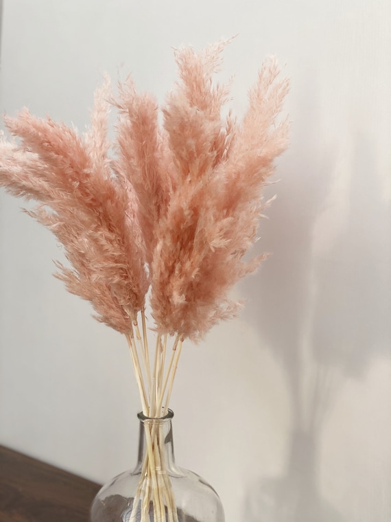 10 STEMS PAMPAS GRASS Decoración de hierba de pampa seca gris, penacho de  caña, arreglo floral de boda boho seco, decoración del hogar de plantas  boho altas -  México