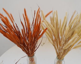 乾燥したセタリアペンデュラグラス、天然フォックステールグラス、素朴なブーケ、焦げたオレンジの束