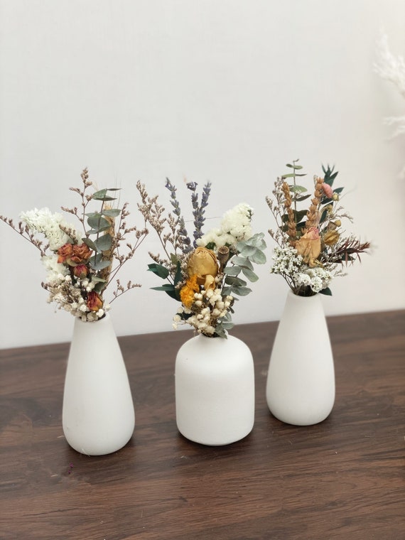 Pompotops Natural Dried Flowers Combination DIY Dry Flower