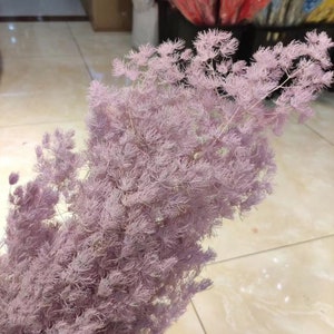 Peut inclure: Un bouquet de fleurs séchées, plumeuses, de couleur violet clair. Les tiges délicates et les minuscules feuilles en forme d'aiguilles créent un aspect doux et texturé. Les fleurs sont regroupées, suggérant qu'elles sont prêtes à être exposées ou utilisées dans un arrangement floral.