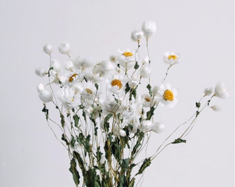 Crisantemo pequeño seco, arreglo de flores secas, materiales de artesanía floral, decoración del hogar, decoración de flores de boda