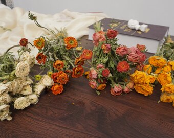 Dried Peony Bunch / Ranunculus / Blush Pink and Cream ,Orange,Yellow