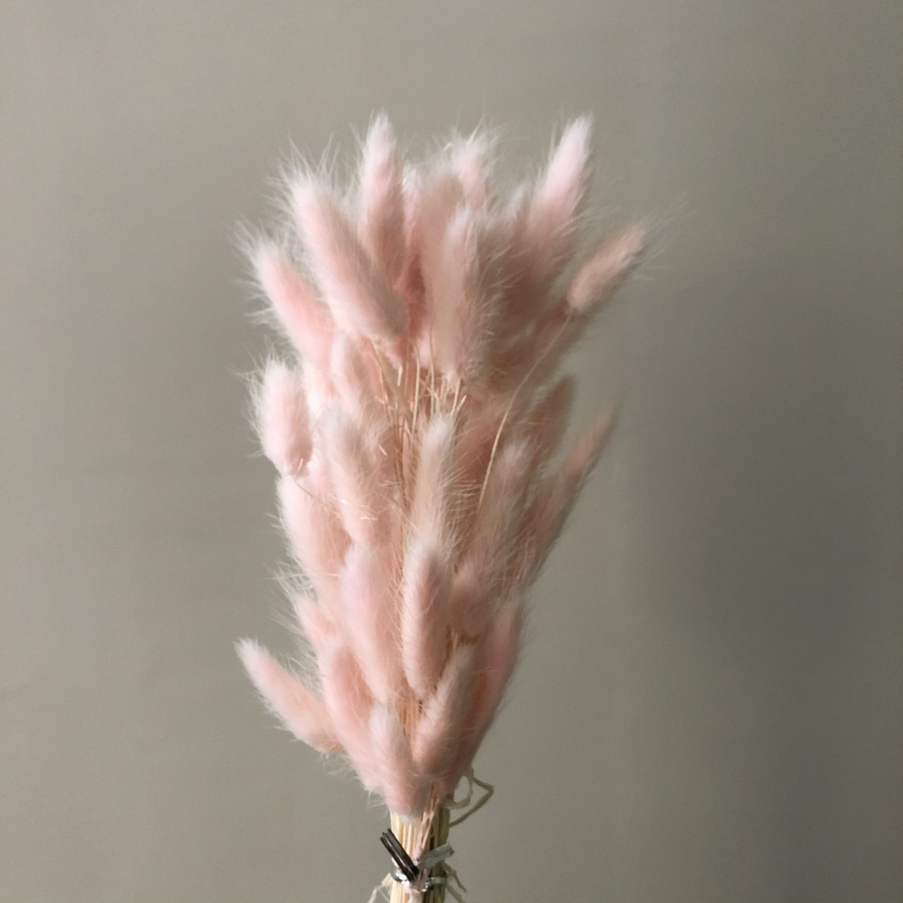 About 60 pink highquality natural dried flowers bouquets Etsy