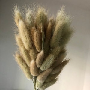 60 peças/monte de cor primária natural flor seca cauda de coelho buquê de flores arranjo de flores