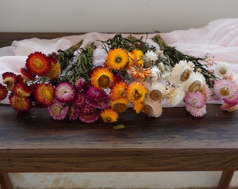 Könnte beinhalten: Eine Ansammlung getrockneter Blumen in verschiedenen Farben, darunter Rot, Orange, Gelb, Weiß und Rosa. Die Blumen sind in kleinen Sträußen angeordnet und liegen auf einer dunklen Holzoberfläche mit einem hellrosa Stoff im Hintergrund.
