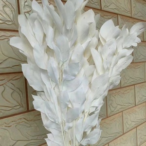tangerinr Leaves Bleached - Dried Natural Leaf - Dry leaves - Natural tangerinr Leaves