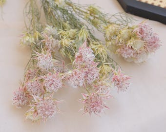 ドライフラワー（天然ブラッシングブラッシング）,ホームフラワーアレンジメント,DIYドライフラワー
