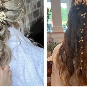 5 24 pezzi Forcina per capelli Respiro del bambino, Forcina per capelli Gypsophila, Forcina per capelli da sposa Respiro del bambino, Accessori per capelli da sposa, Forcine per capelli con fiori secchi immagine 3