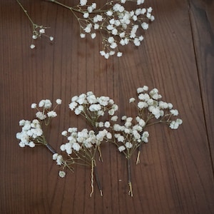 5 24 Stück Schleierkraut Haarnadel, Gypsophila Haarnadel, Schleierkraut Braut Haarnadel, Braut Haarschmuck, Trockenblumen Haarnadeln 8 Pcs