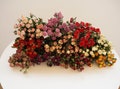 9 Colors Dried rose boundle Dry roses rose dried flowers wedding home decoration wedding floral art-wholesale