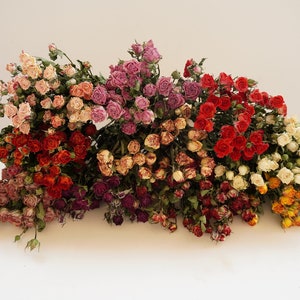9 Colors Dried rose boundle Dry roses rose dried flowers wedding home decoration wedding floral art-wholesale