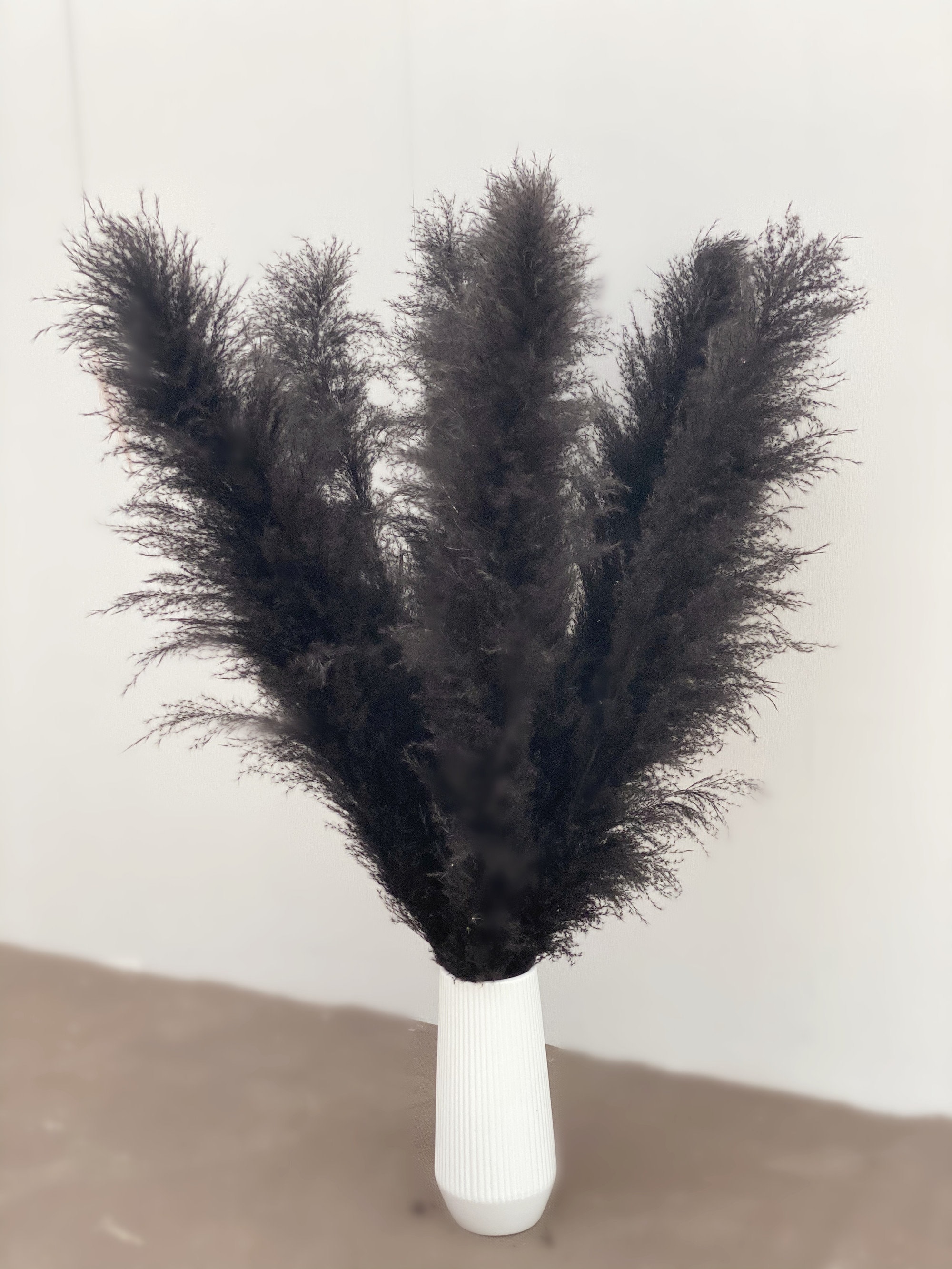 Pampas Grass Large Black Fluffy Dried Pampas Arrangement – Ellie