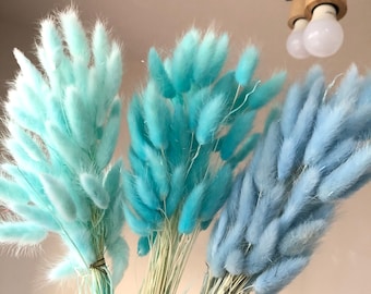 About 60 stems of high-quality natural dried flowers, bouquets, flower arrangements, rabbit tail grass