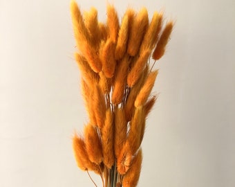 About 60 stems of yellow high-quality natural dried flowers, bouquets, flower arrangements, and rabbit tail grass