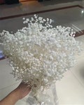 White Preserved-Dried Baby's Breath Flowers , Ivory, Off-White (wedding, floral, bouquet, decor, arrangement,gypsophila,gift product logo