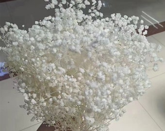 White Preserved-Dried Baby's Breath Flowers , Ivory, Off-White (wedding, floral, bouquet, decor, arrangement,gypsophila,gift