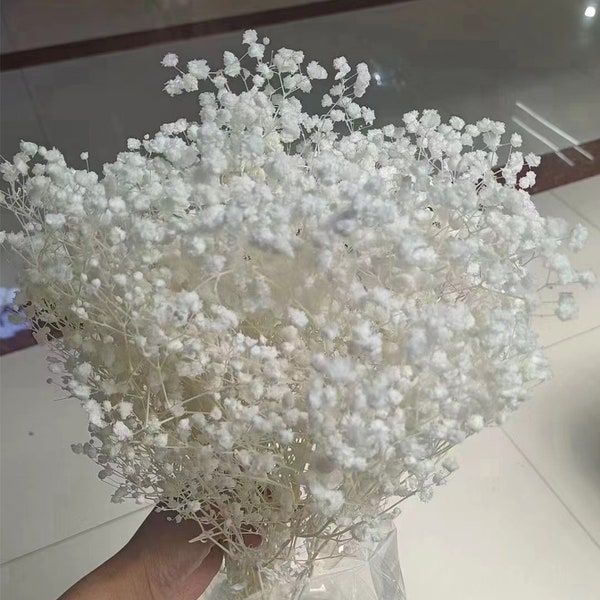 Wit geconserveerd-gedroogde baby's adem bloemen, ivoor, off-white (bruiloft, bloemen, boeket, decor, arrangement, gypsophila, cadeau