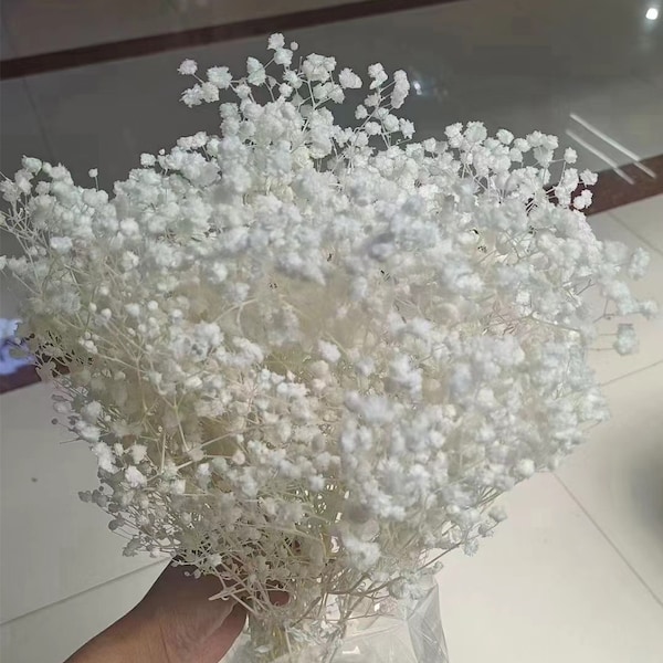 White Preserved-Dried Baby's Breath Flowers , Ivory, Off-White (wedding, floral, bouquet, decor, arrangement,gypsophila,gift