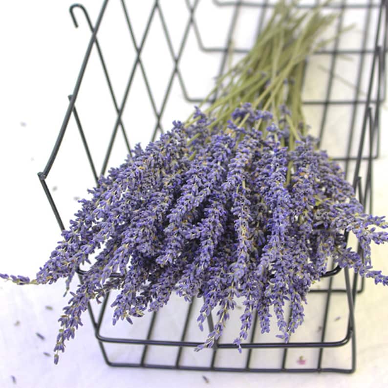 250300 Stems/bundle Lavender Highquality Dried Flowers Etsy
