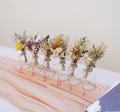 Mini Dried Floral bouquet, mini dried flower in a vase, Holiday gift, vase arrangement, Wedding centrepieces, DYI flowers，Boho mini bouquet product logo