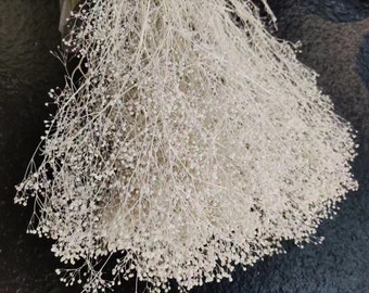Dried baby&#39;s breath, Preserved baby&#39;s breath, natural dried gypsophilia,Blush